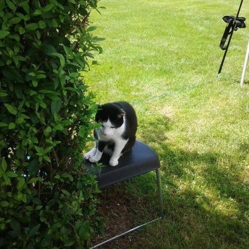 Profielfoto van jose